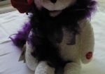 Red Hat Singing Suzie Bear - Red Hat Singing Suzie Bear