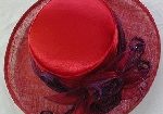 Red Hat Items - Red Hat Society Lady Items